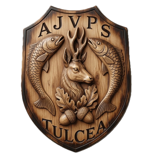 AJVPS Tulcea